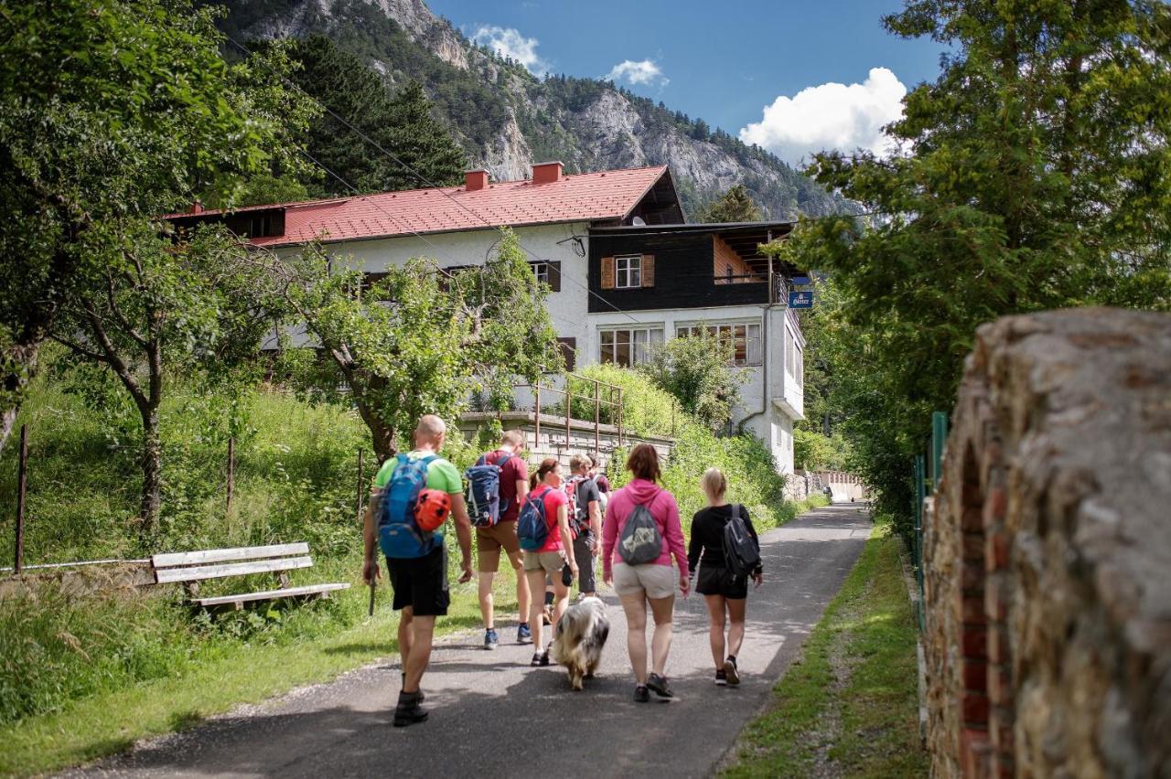 Berghof Seiser Toni Oberhoflein エクステリア 写真